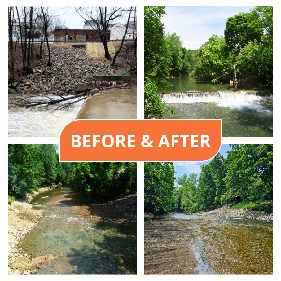 A collage of a river AI-generated content may be incorrect.