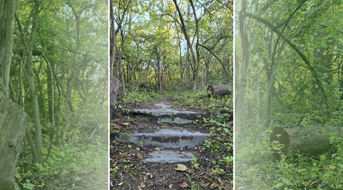 Solace of the Valley | By: Joe Scrizzi