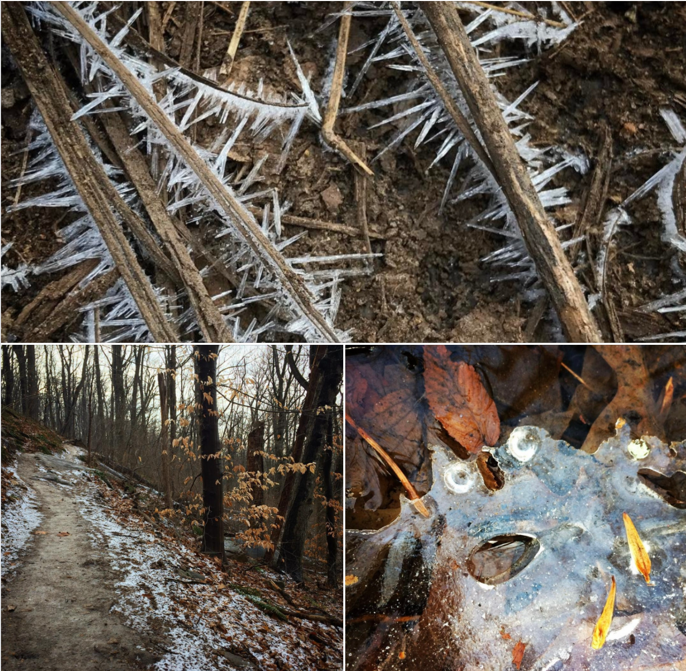 A collage of ice crystals on a trail