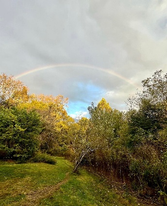 The image depicts a serene, rainbow-filled sky over a leafy, wooded pathway.
AI-generated content may be incorrect.