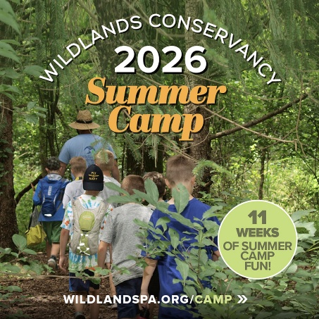 The image depicts a vibrant summer camp organized by Wildlands Conservancy, featuring 11 weeks of fun activities for children.
AI-generated content may be incorrect.