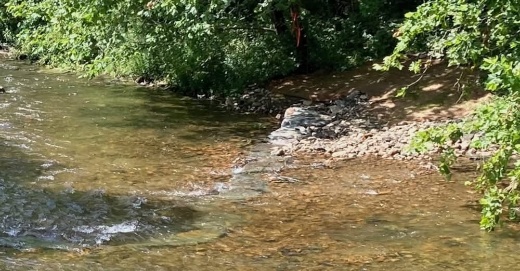 The image depicts a clear, shallow stream flowing through a wooded, rocky area with green foliage and a red sign.

AI-generated content may be incorrect.